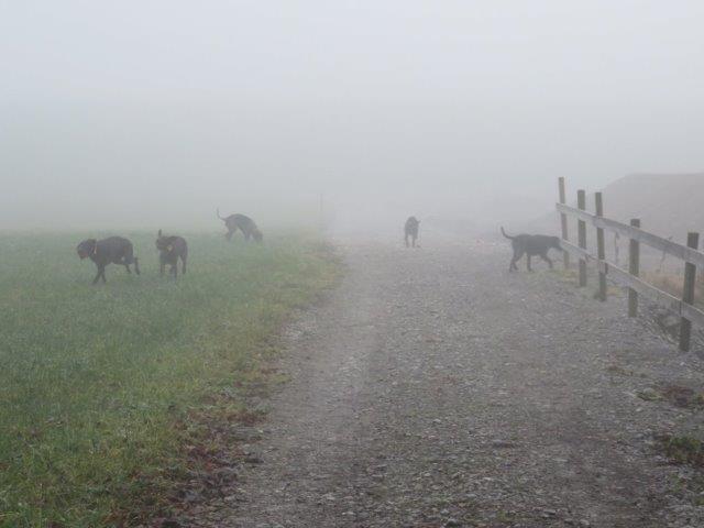 Gruppe